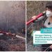 Artis Sherina Munaf Akui Stress Padamkan Karhutla di Kalimantan, Ini Penyebabnya!