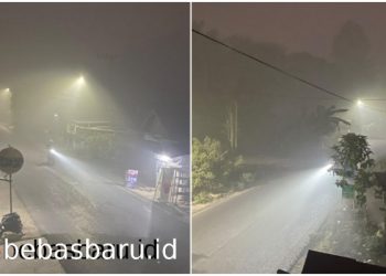 Hari Ini Tabalong Asap Pekat Jarak Pandang Terbatas! Bau Sangat Menyengat!