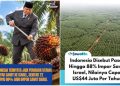 Astaga, Indonesia Dibodohi Singapura, Beli Sawit di Indonesia, Lalu Dijual ke Israel Harga Selangit!