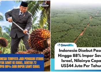 Astaga, Indonesia Dibodohi Singapura, Beli Sawit di Indonesia, Lalu Dijual ke Israel Harga Selangit!