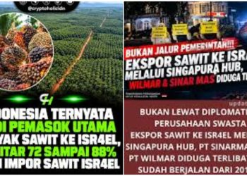 Astaga, Indonesia Dibodohi Singapura, Beli Sawit di Indonesia, Lalu Dijual ke Israel Harga Selangit!