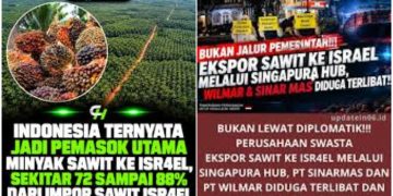 Astaga, Indonesia Dibodohi Singapura, Beli Sawit di Indonesia, Lalu Dijual ke Israel Harga Selangit!