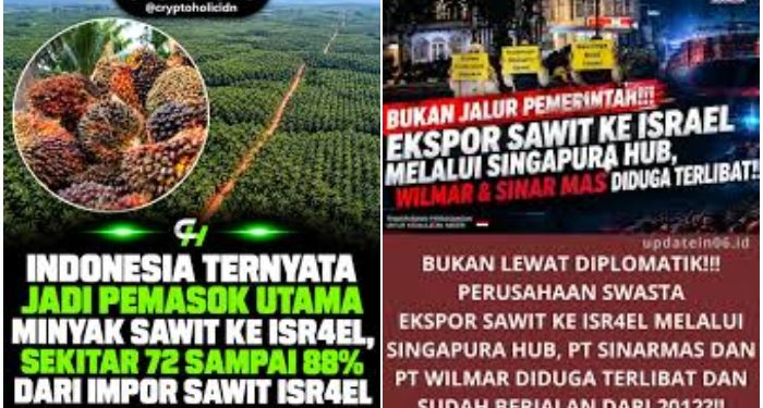 Astaga, Indonesia Dibodohi Singapura, Beli Sawit di Indonesia, Lalu Dijual ke Israel Harga Selangit!