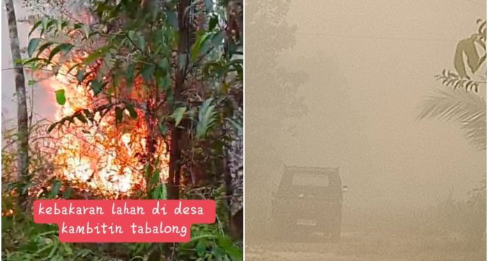 Empat Titik Kebakaran Landa Tabalong, Bau Menyengat dan Jarak Pandang Terbatas